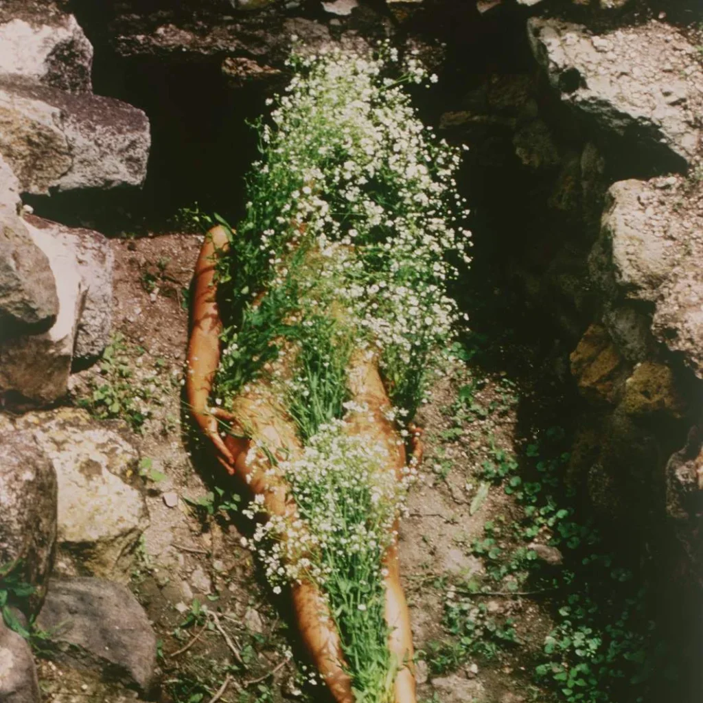 Ana Mendieta | Tate 2026
