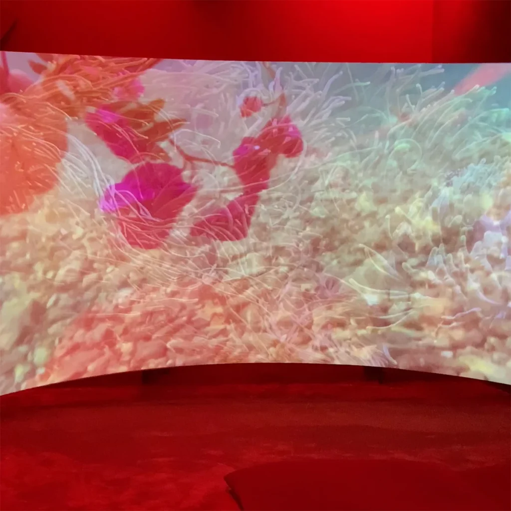 Laure Prouvost | 2025 Bienal de São Paulo | Zarastro Art