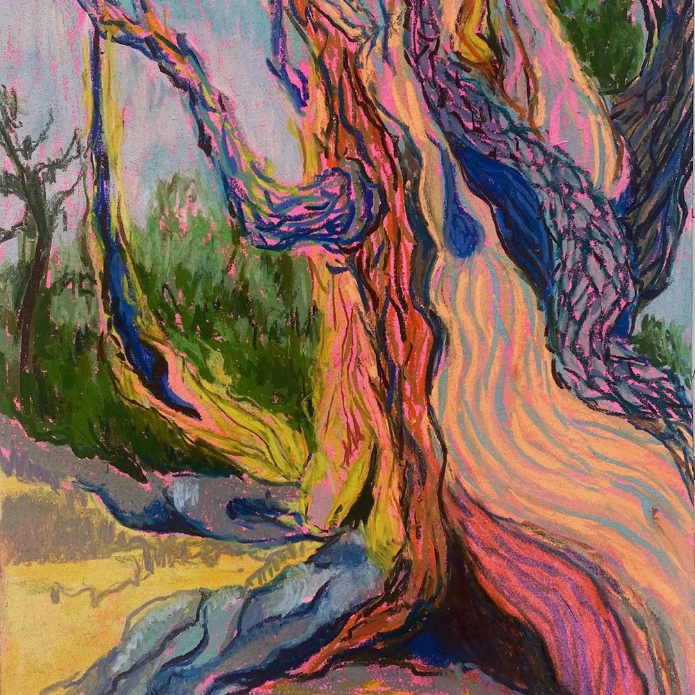 Rebecca Byrne | A Cloak of Adaptation | Zarastro Art