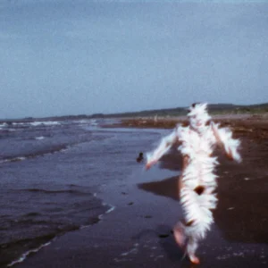 Ana Mendieta, Bird Run (1974)