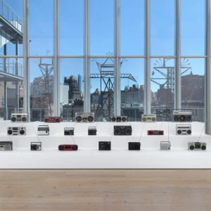 Whitney Biennial 2026 | Zarastro Art